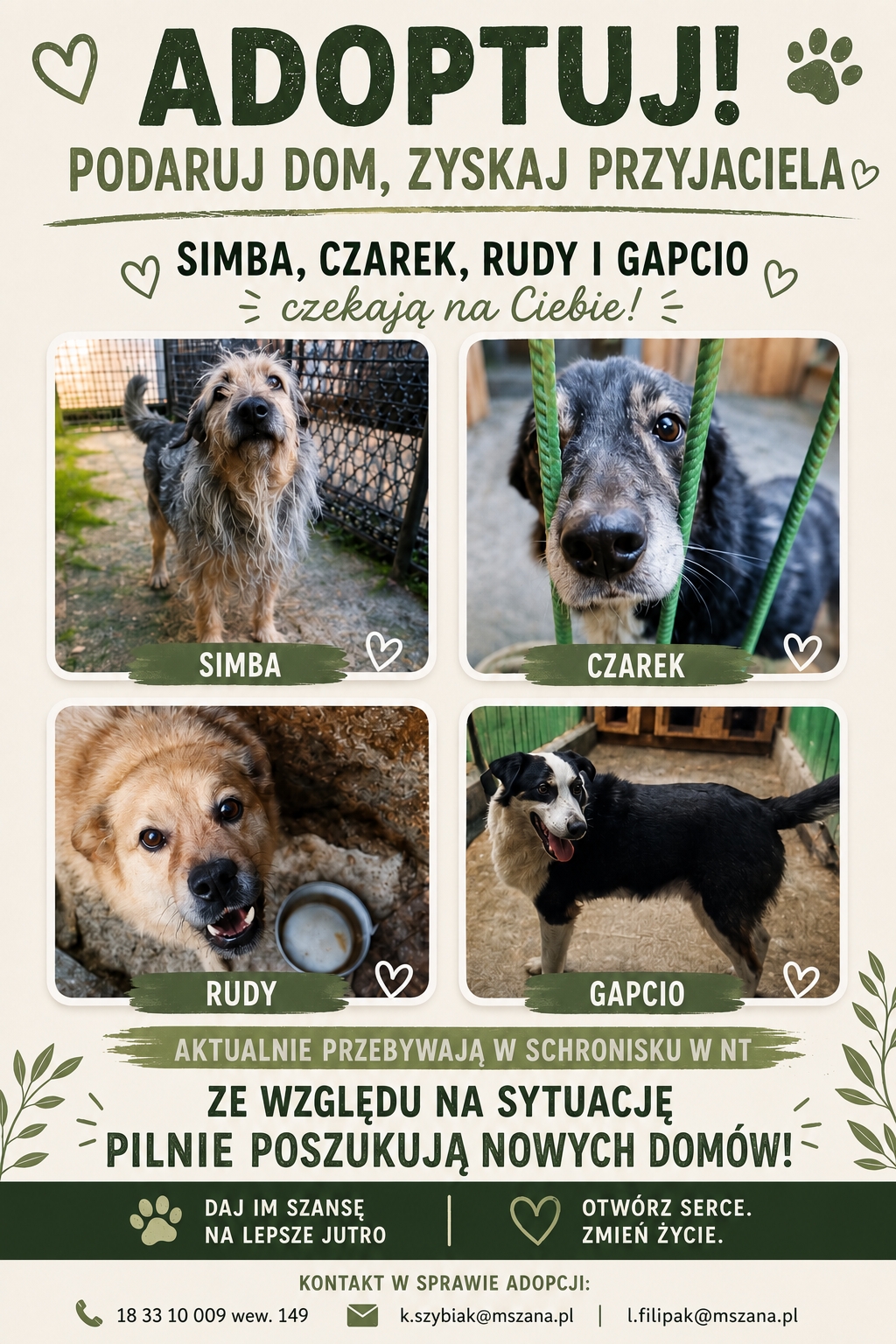 miniaturka wpisu aktualności